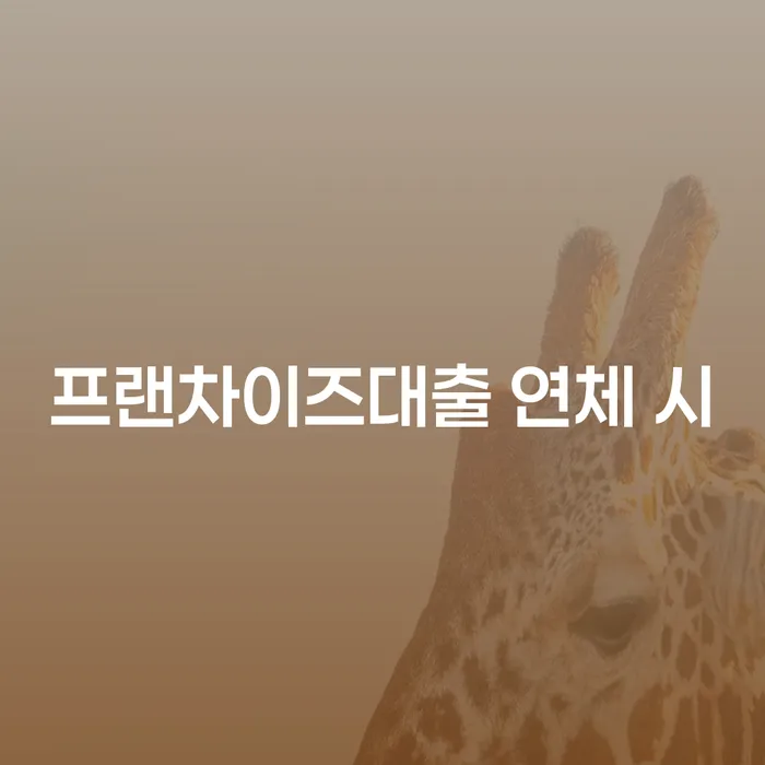 프랜차이즈대출 연체 시 개인회생,개인파산으로 확인해요