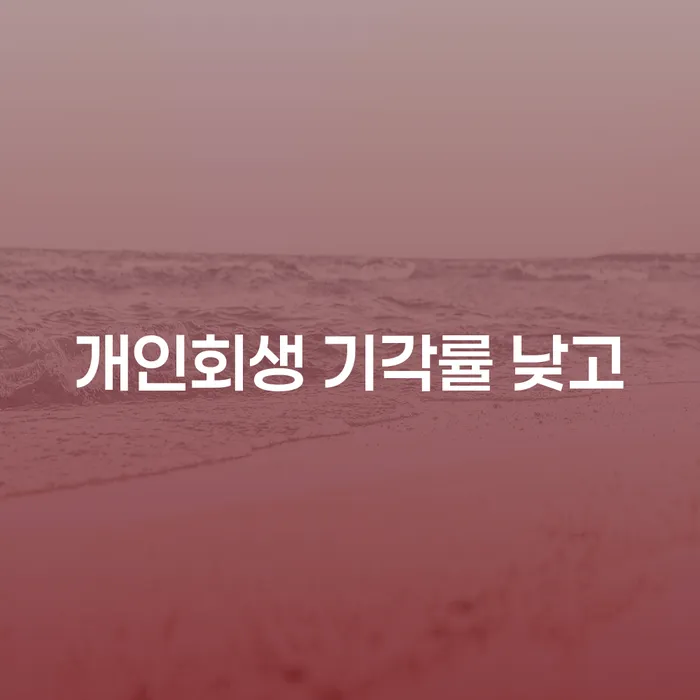 회생 개인회생으로 현명하게 신속한상담을