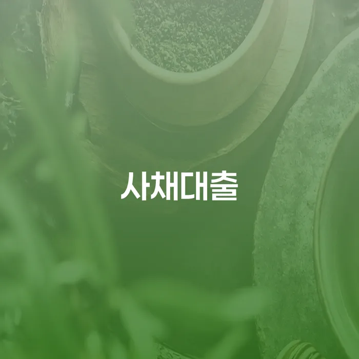 다중채무자 연체 시 개인회생,개인파산으로 중요한정보