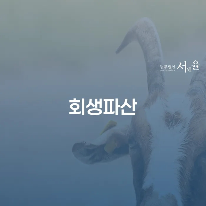 옹진군 개인회생 변호사 비용 무이자 자체 분납 가능하고 연체 채무 신속해결방법 선택을 어떻게..
