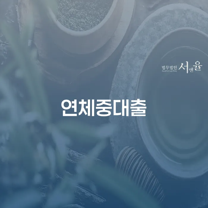 울릉군 과대출자추가대출 연체 시 빚청산 필요성을