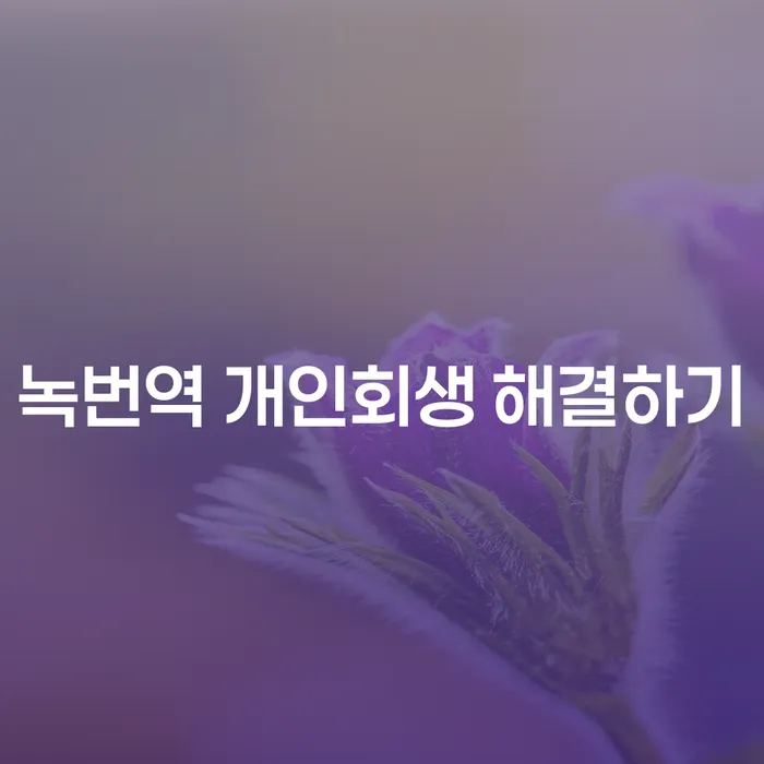 녹번역 개인회생 해결하기