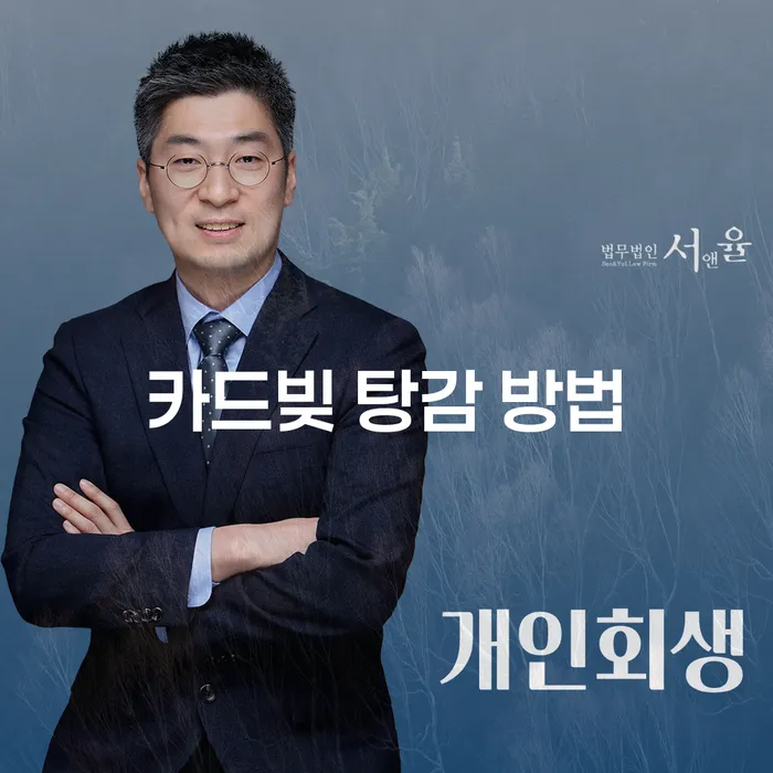 카드빚을 해결하는 방법: 개인회생과 개인파산