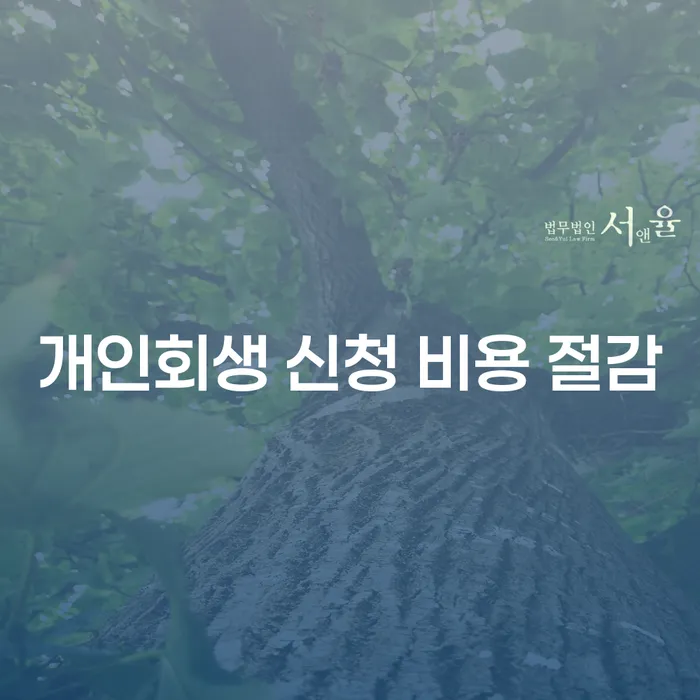 개인회생 신청 비용 절감을 위한 최적의 방법은 무엇일까요?