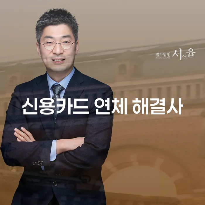 신용카드 연체 해결사: 당신에게 맞는 해결책은 무엇일까요?