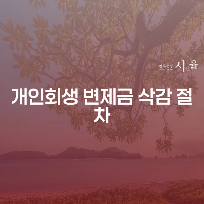 개인회생 변제금 삭감 절차, 어떻게 시작해야 할까요?