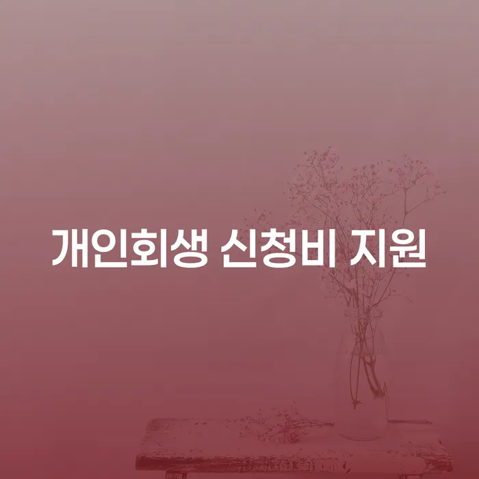 개인회생 신청비 지원: 어떻게 도움을 받을 수 있을까요?