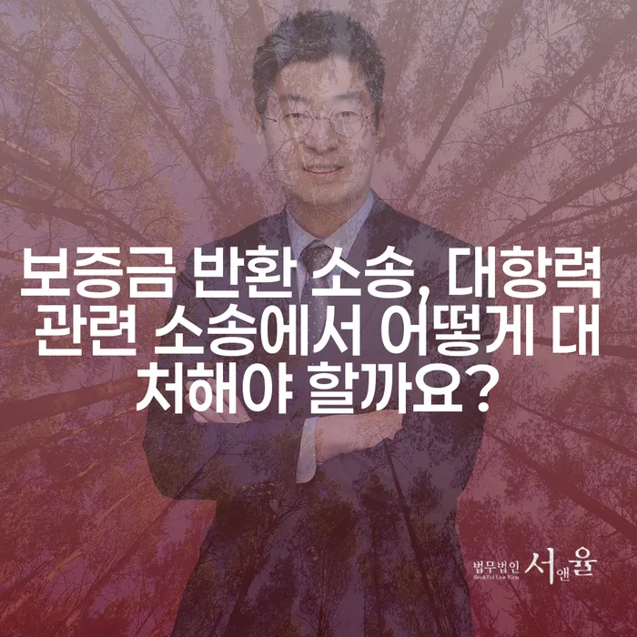 보증금 반환 소송, 대항력 관련 소송에서 어떻게 대처해야 할까요?